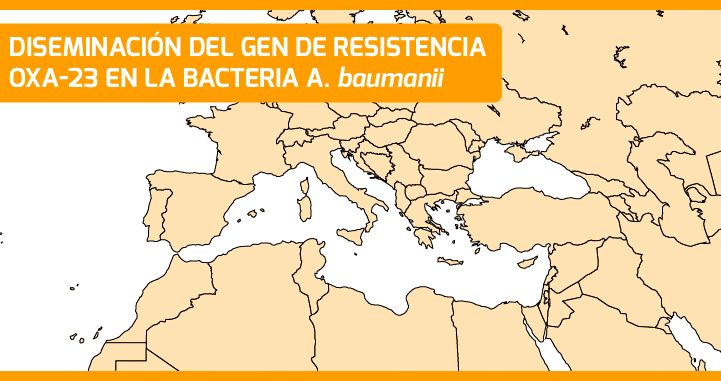 Mapa de la diseminación del gen de resistencia OXA-23 en la bacteria A. baumanii