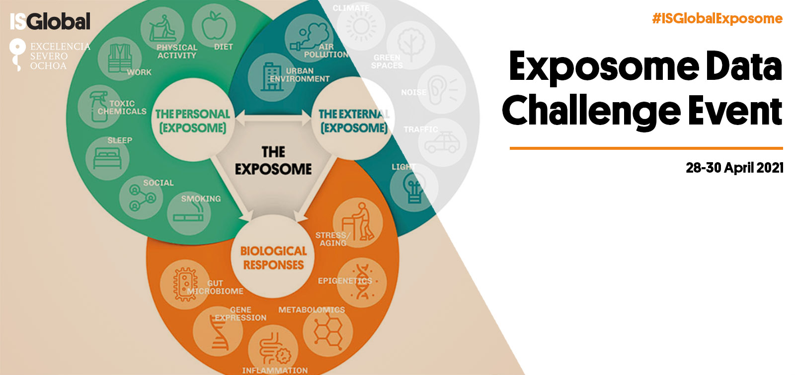 Exposome Data Analysis Challenge