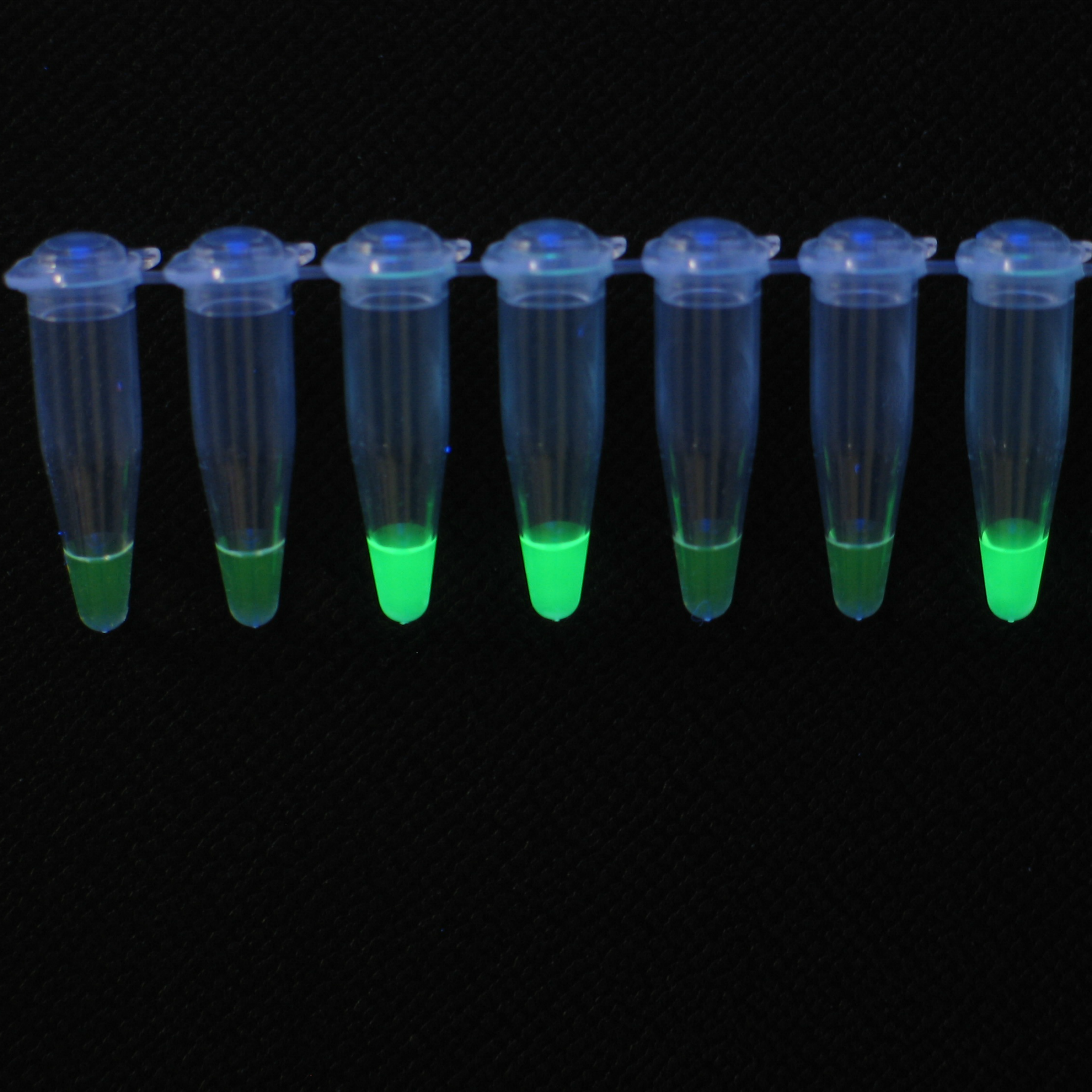 LAMP_visual reading1_Web