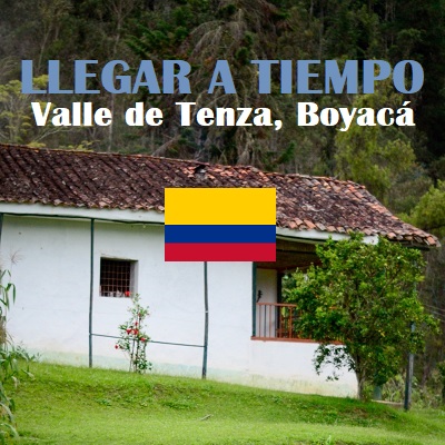 To arrive on time to interrupt Chagas disease