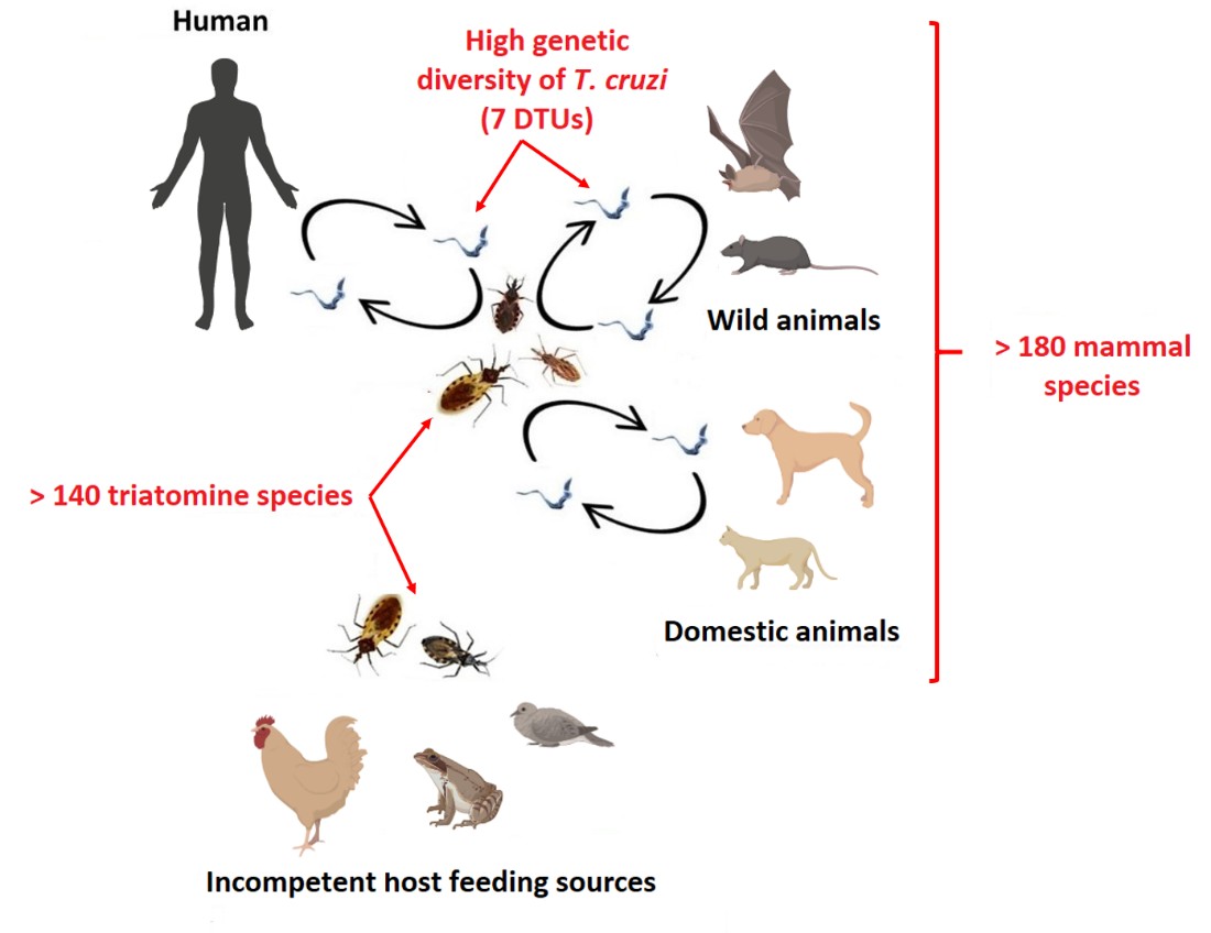 Proyecto 1 – Picture1.1 (2025)