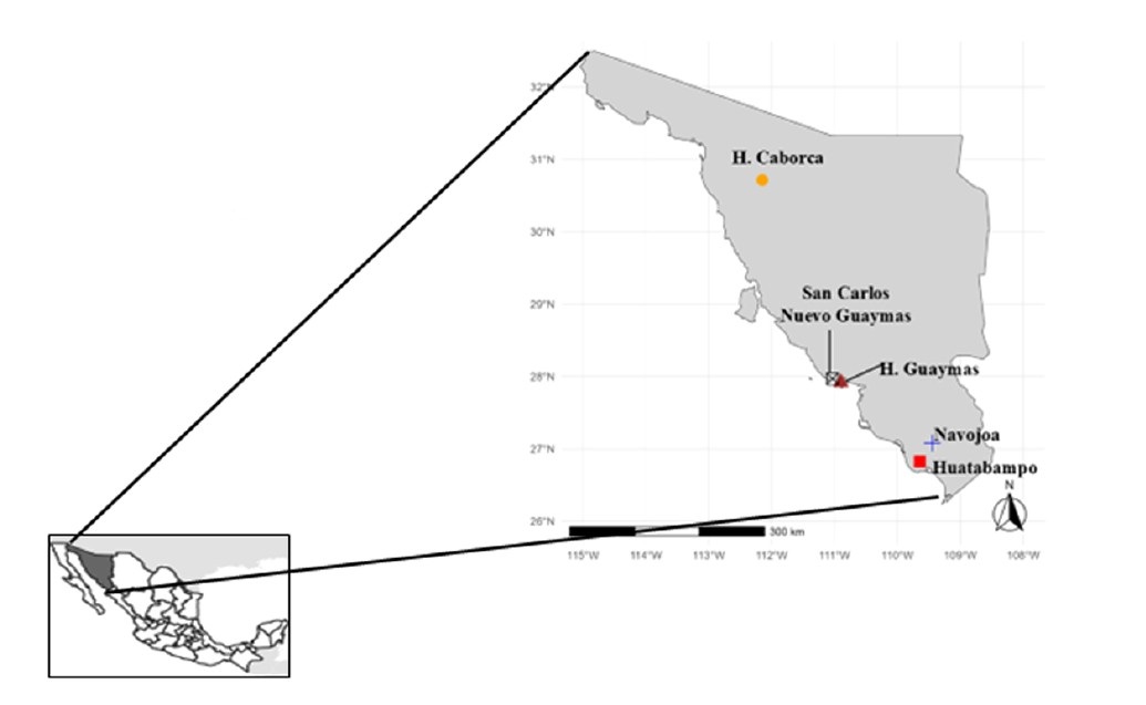 Proyecto 3 IRD – Picture3 (2025).1