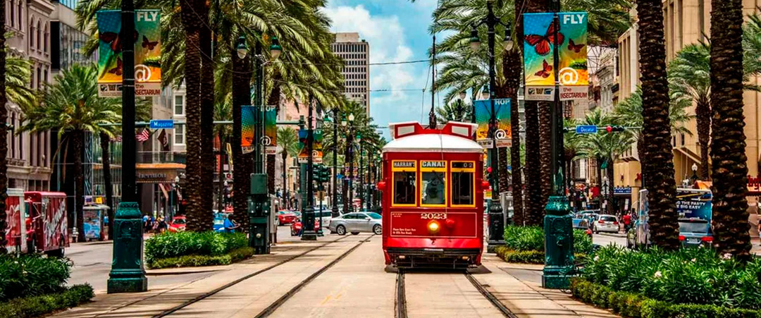 Chagas Cardiomyopathy: new insights into inflammation, damage, and progression