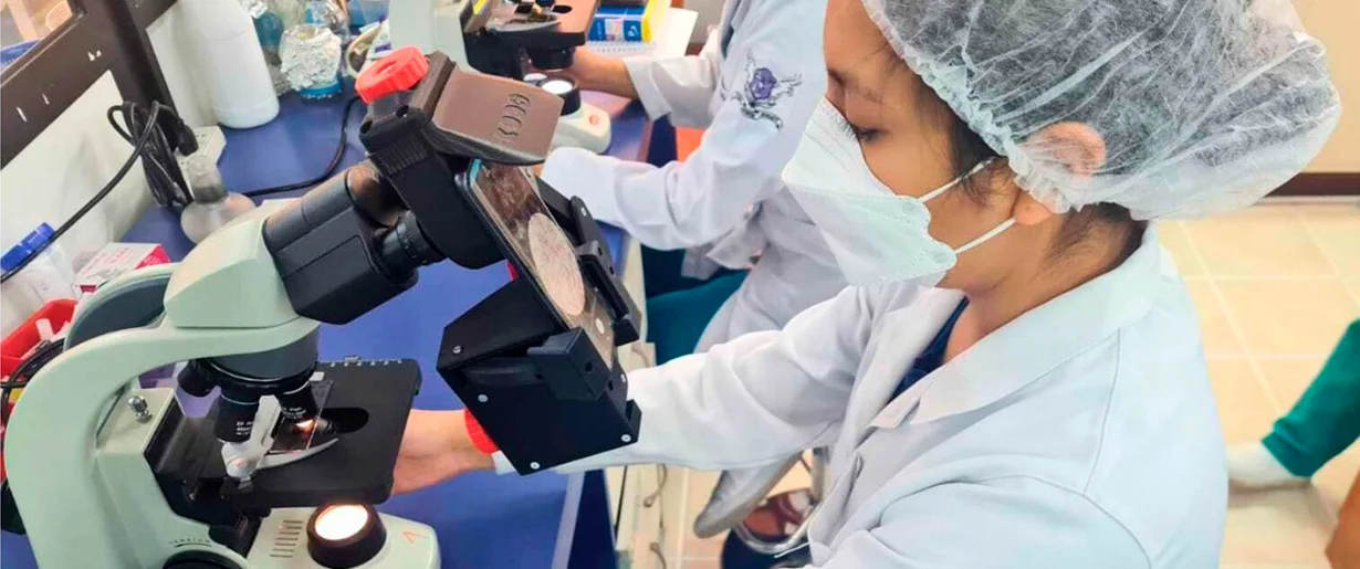 Desarrollan una IA para detectar el parásito que causa el Chagas desde un teléfono móvil